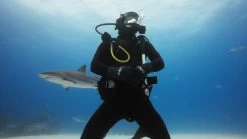 GoPro HERO11 Black Mini Dive Housing -RAM MOUNTS Store AFDIV 001 4