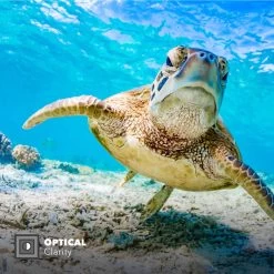 PolarPro Divemaster Filter Kit | Hero8 Protective Housing -RAM MOUNTS Store H8 1016 PROT 2