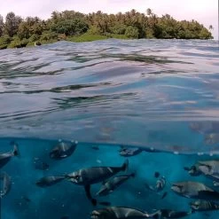 PolarPro FiftyFifty Dome | GoPro HERO 12 / HERO11 / HERO10 / HERO9 Black -RAM MOUNTS Store H9 FF 6